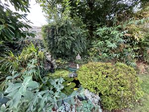 Photo 32- click for photo gallery